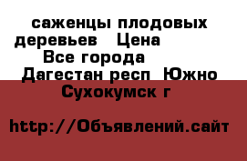 саженцы плодовых деревьев › Цена ­ 6 080 - Все города  »    . Дагестан респ.,Южно-Сухокумск г.